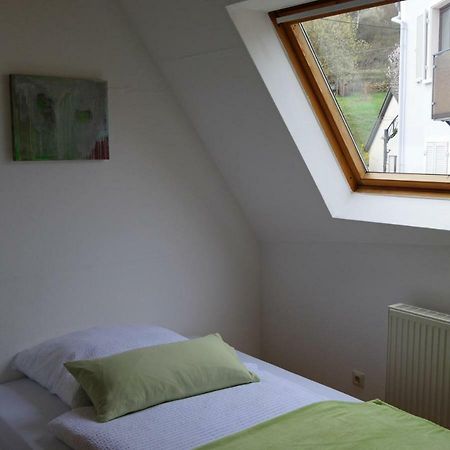 Ferienwohnung Bildgasse Neustadt an der Weinstraße エクステリア 写真